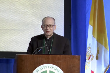 Catholic Bishops Weigh Significant Revisions to Landmark Abuse Protection Guidelines